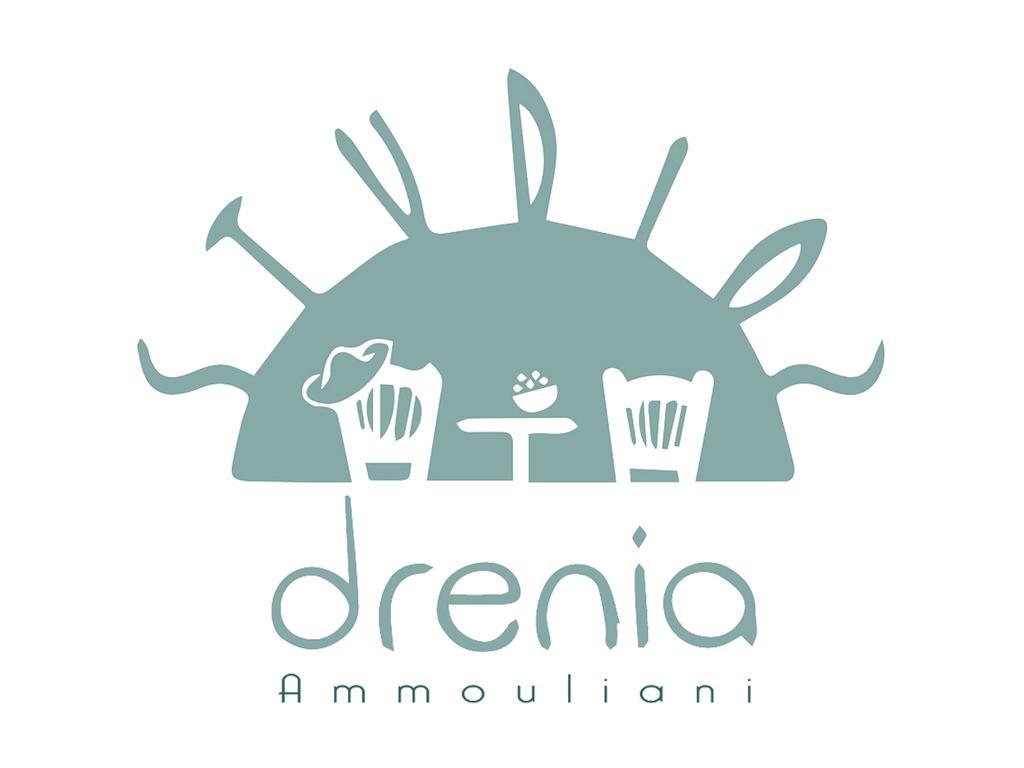 Daire Drenia Ammouliani